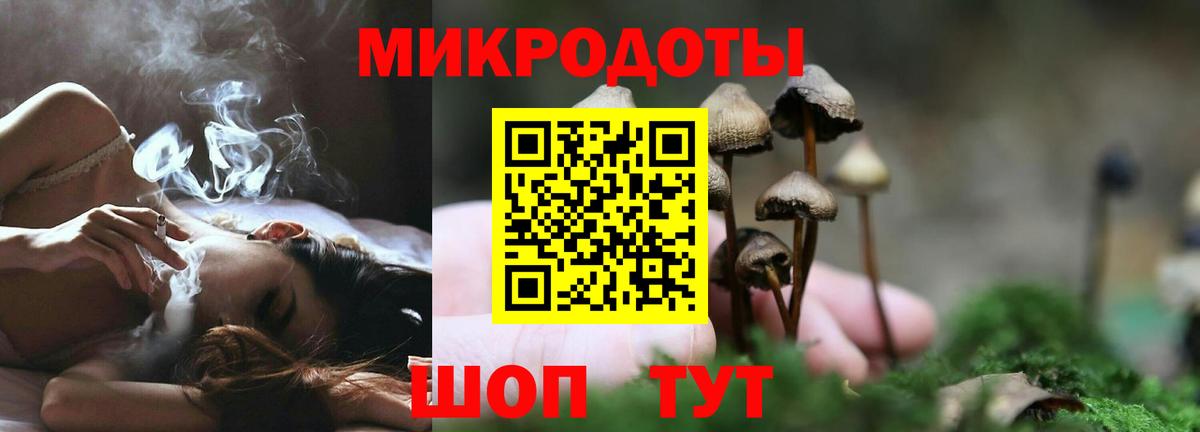 Псилоцибиновые грибы Psilocybine cubensis  Вход с VPN  Арзамас 